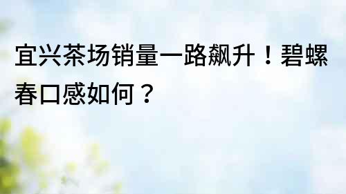 宜興茶場銷量一路飆升！碧螺春口感如何？