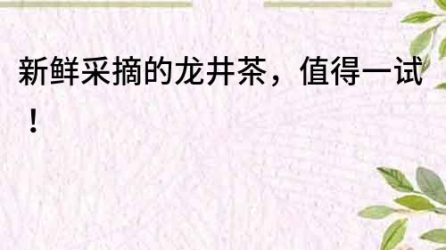 新鮮采摘的龍井茶，值得一試！