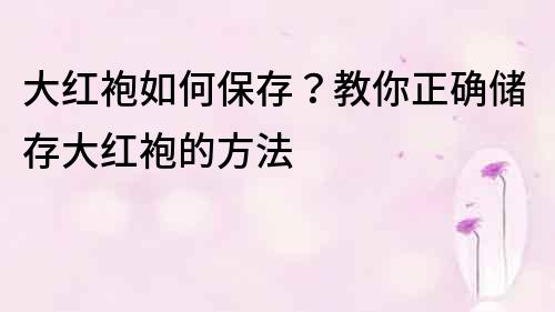 大紅袍如何保存？教你正確儲存大紅袍的方法