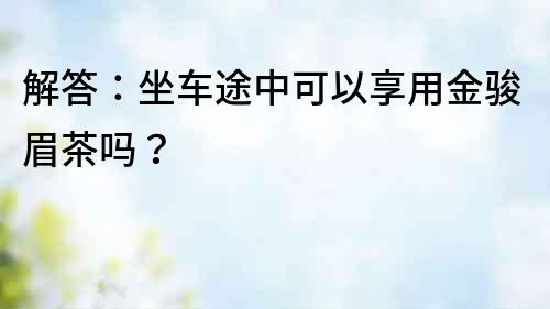 解答：坐車途中可以享用金駿眉茶嗎？