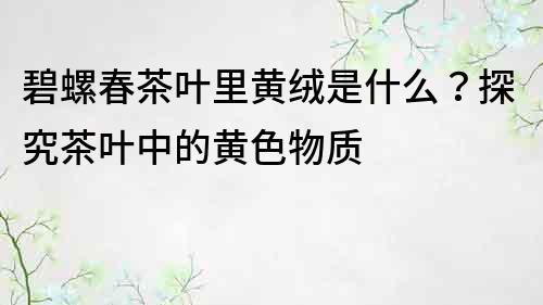 碧螺春茶葉里黃絨是什么？探究茶葉中的黃色物質