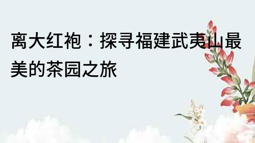 離大紅袍：探尋福建武夷山最美的茶園之旅