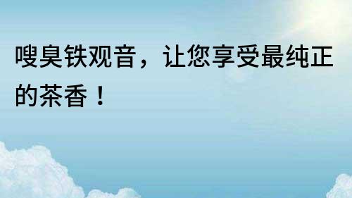 嗖臭鐵觀音，讓您享受最純正的茶香！