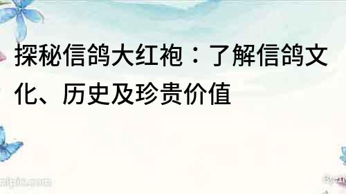探秘信鴿大紅袍：了解信鴿文化、歷史及珍貴價值
