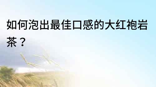 如何泡出最佳口感的大紅袍巖茶？
