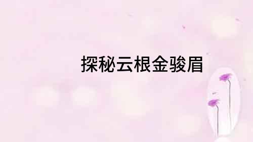 探秘云根金駿眉