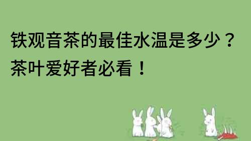 鐵觀音茶的最佳水溫是多少？茶葉愛好者必看！