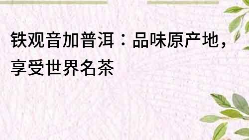 鐵觀音加普洱：品味原產(chǎn)地，享受世界名茶