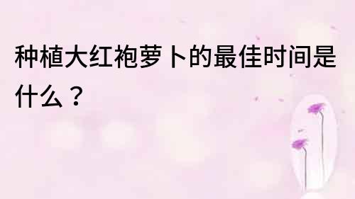 種植大紅袍蘿卜的最佳時間是什么？