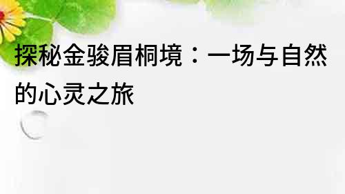 探秘金駿眉桐境：一場與自然的心靈之旅