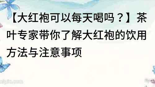 【大紅袍可以每天喝嗎？】茶葉專家帶你了解大紅袍的飲用方法與注意事項