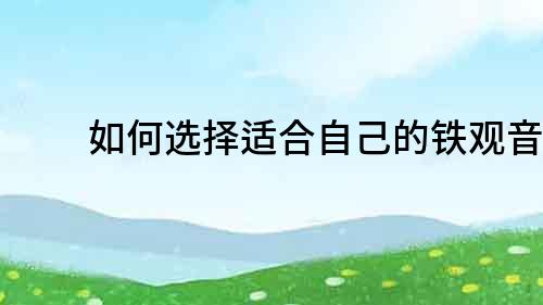 如何選擇適合自己的鐵觀音？