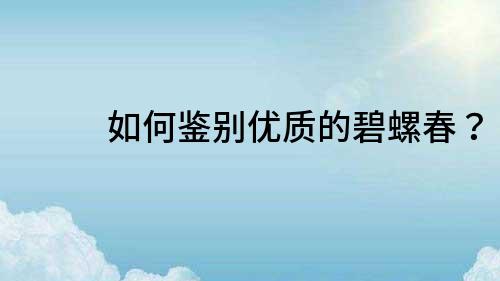 如何鑒別優(yōu)質(zhì)的碧螺春？
