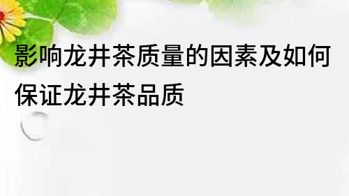 影響龍井茶質量的因素及如何保證龍井茶品質