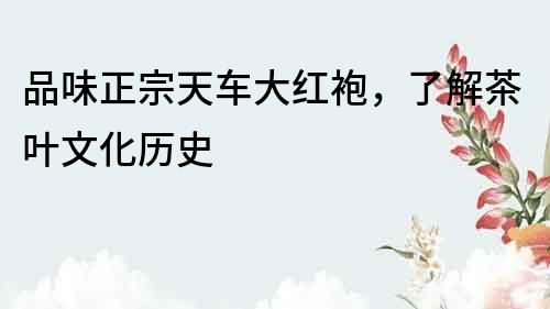 品味正宗天車大紅袍，了解茶葉文化歷史