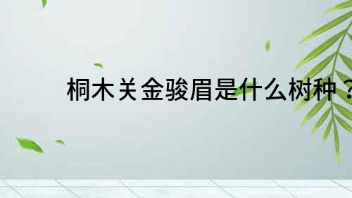 桐木關金駿眉是什么樹種？
