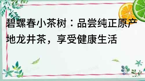 碧螺春小茶樹：品嘗純正原產(chǎn)地龍井茶，享受健康生活