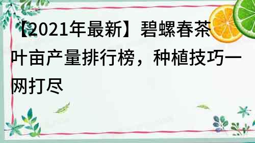 【2022年最新】碧螺春茶葉畝產量排行榜，種植技巧一網(wǎng)打盡