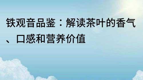 鐵觀音品鑒：解讀茶葉的香氣、口感和營(yíng)養(yǎng)價(jià)值