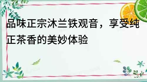品味正宗沐蘭鐵觀音，享受純正茶香的美妙體驗