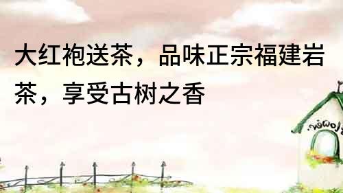 大紅袍送茶，品味正宗福建巖茶，享受古樹之香