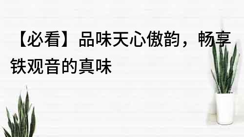 【必看】品味天心傲韻，暢享鐵觀音的真味