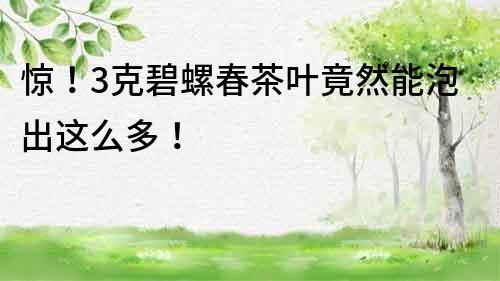 驚！3克碧螺春茶葉竟然能泡出這么多！