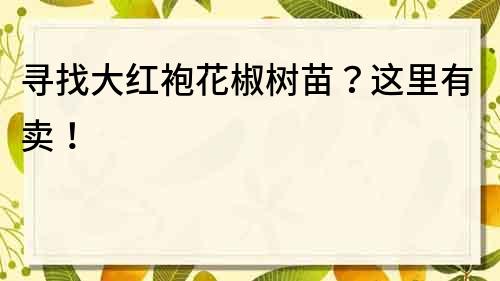 尋找大紅袍花椒樹(shù)苗？這里有賣(mài)！