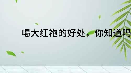 喝大紅袍的好處，你知道嗎？