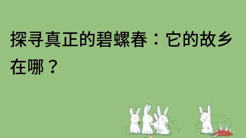 探尋真正的碧螺春：它的故鄉在哪？