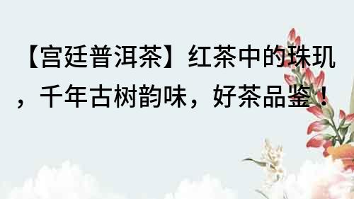 【宮廷普洱茶】紅茶中的珠璣，千年古樹韻味，好茶品鑒！