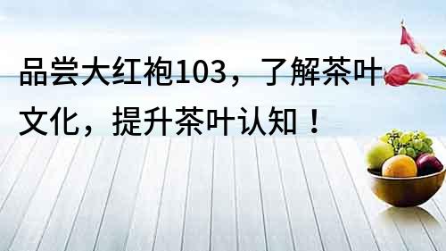 品嘗大紅袍103，了解茶葉文化，提升茶葉認知！