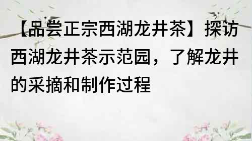 【品嘗正宗西湖龍井茶】探訪西湖龍井茶示范園，了解龍井的采摘和制作過程