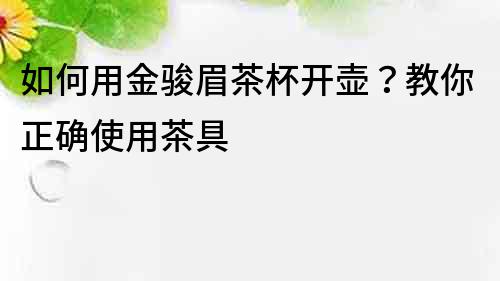 如何用金駿眉茶杯開壺？教你正確使用茶具