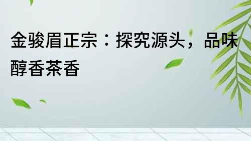 金駿眉正宗：探究源頭，品味醇香茶香
