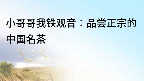 小哥哥我鐵觀音：品嘗正宗的中國名茶