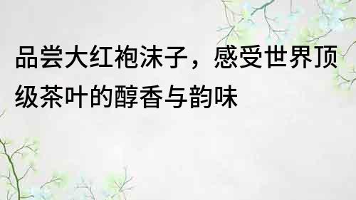 品嘗大紅袍沫子，感受世界頂級茶葉的醇香與韻味