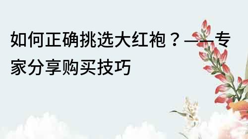 如何正確挑選大紅袍？——專家分享購買技巧