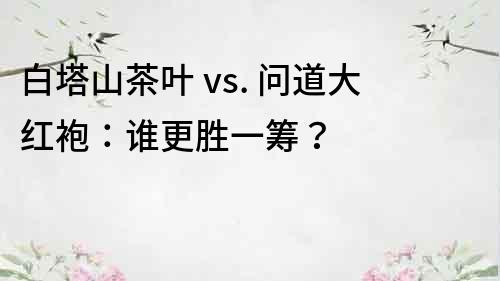 白塔山茶葉 vs. 問道大紅袍：誰更勝一籌？