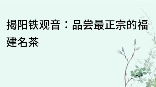 揭陽鐵觀音：品嘗最正宗的福建名茶