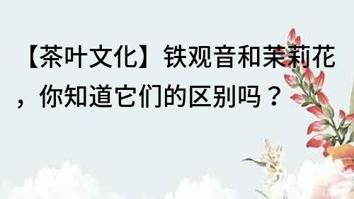 【茶葉文化】鐵觀音和茉莉花，你知道它們的區別嗎？