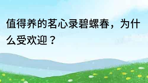 值得養的茗心錄碧螺春，為什么受歡迎？
