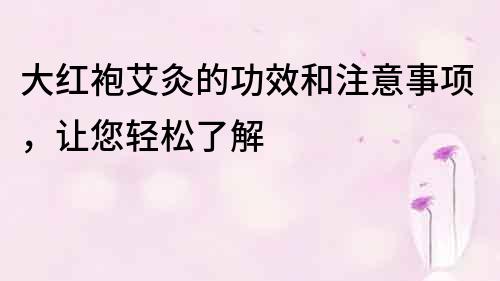 大紅袍艾灸的功效和注意事項，讓您輕松了解