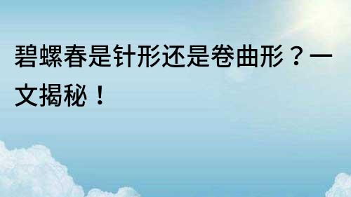碧螺春是針形還是卷曲形？一文揭秘！