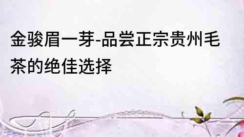 金駿眉一芽-品嘗正宗貴州毛茶的絕佳選擇