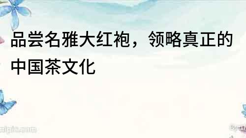 品嘗名雅大紅袍，領略真正的中國茶文化