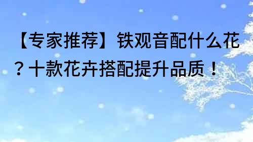 【專家推薦】鐵觀音配什么花？十款花卉搭配提升品質！