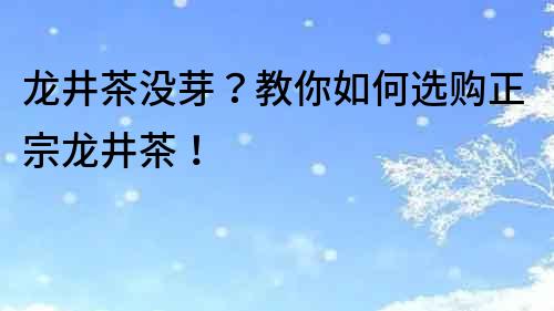 龍井茶沒芽？教你如何選購正宗龍井茶！