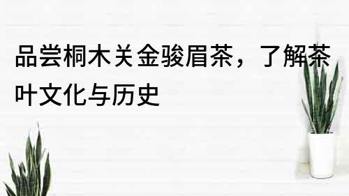 品嘗桐木關金駿眉茶，了解茶葉文化與歷史
