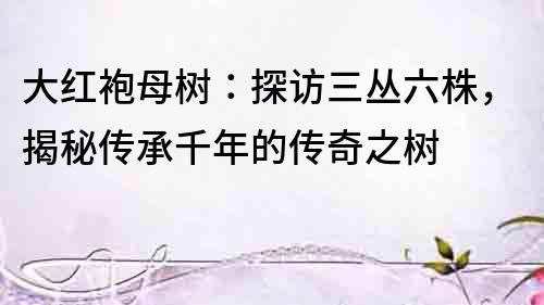 大紅袍母樹：探訪三叢六株，揭秘傳承千年的傳奇之樹